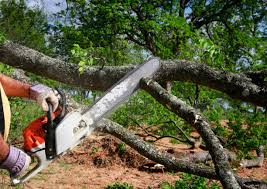 Best Utility Line Clearance  in Sausalito, CA
